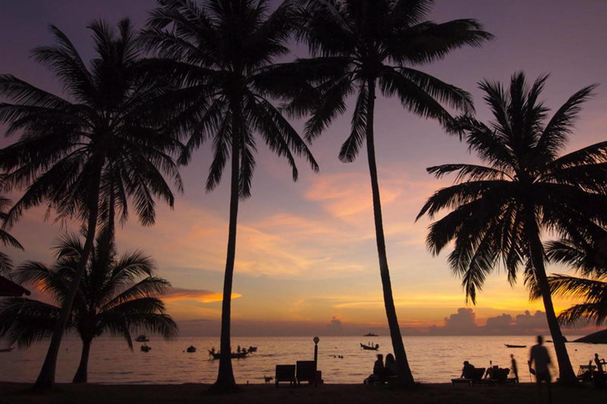 Palm Leaf Resort Ko Tao Zewnętrze zdjęcie